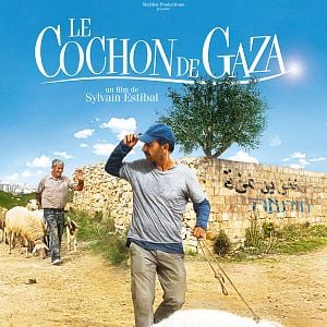 Le cochon de Gaza