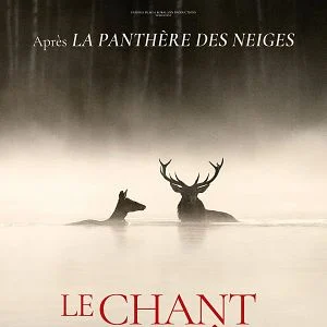Le chant des forêts